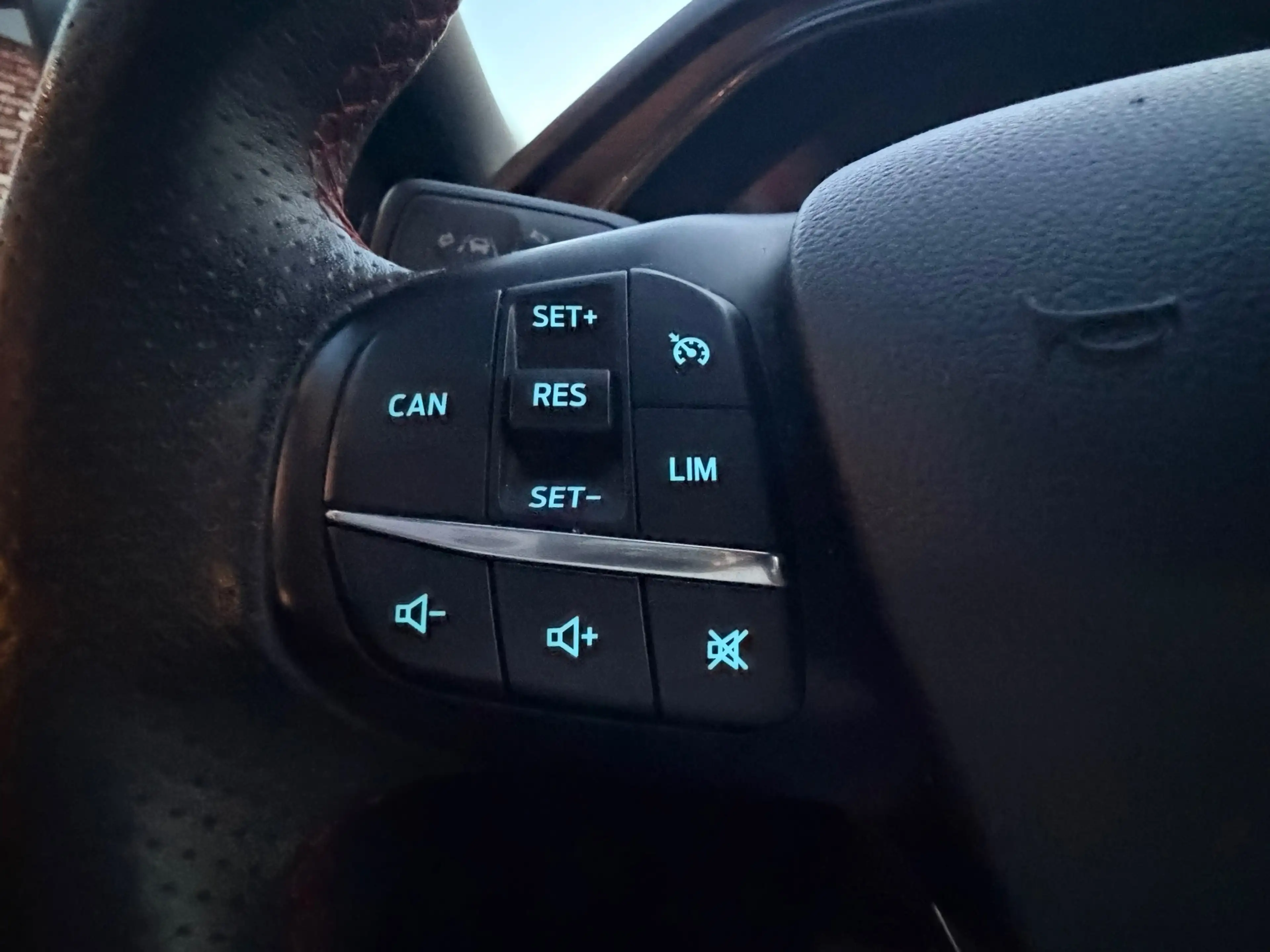 Ford Focus 1.0 EcoBoost Hybrid ST Line X 155PK Stoel/Stuurver — photo 24