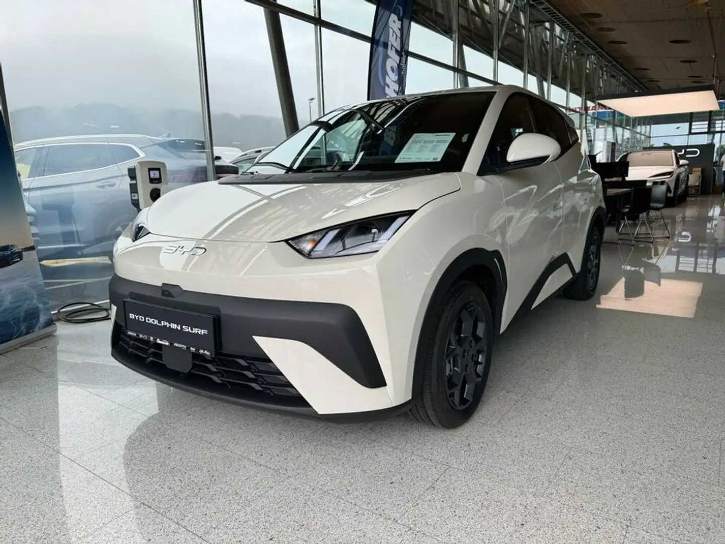 BYD Dolphin Surf Comfort Blanco - 2