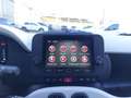 Fiat Panda 4x2 FireFly Hybrid 70 Gelb - thumbnail 9