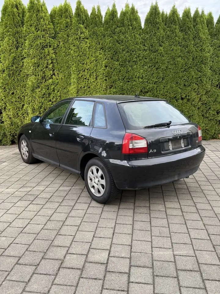 Audi A3 1.6 Ambition, foto 5
