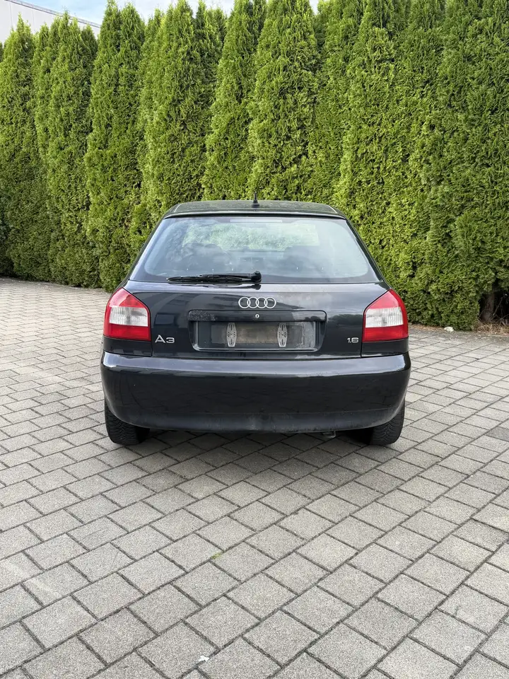 Audi A3 1.6 Ambition, foto 4