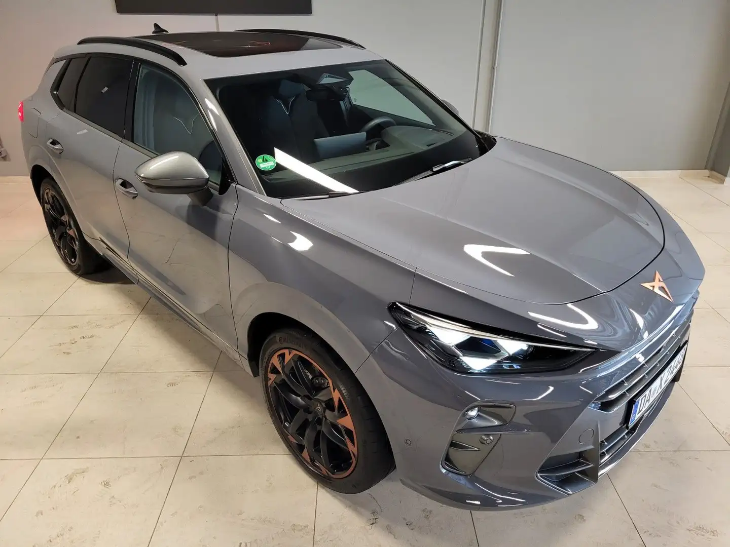 CUPRA Terramar 2.0 TSI DSG 4Drive -VZ-*Akebono*Matrix* Grau - 1