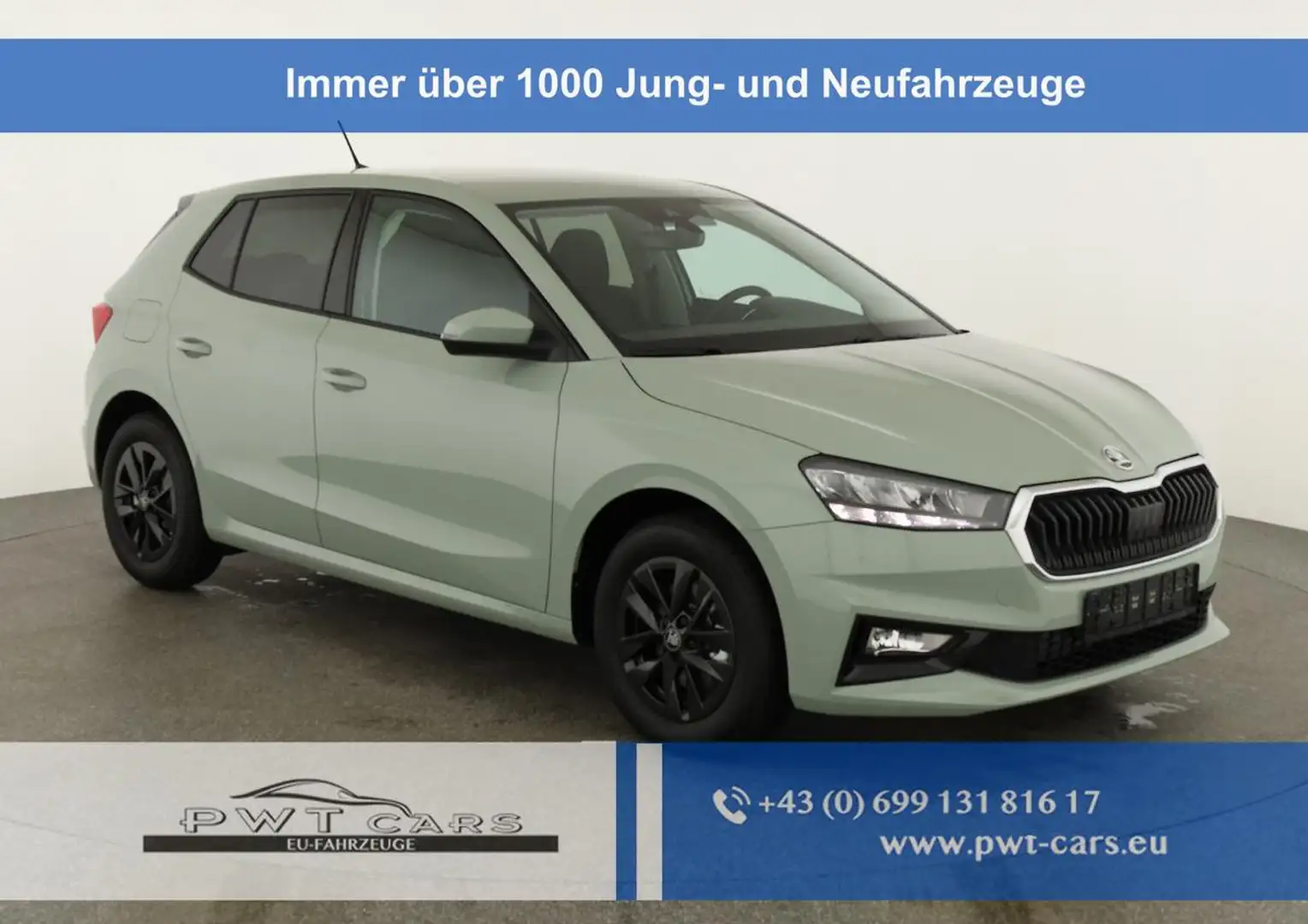 Skoda Fabia Selection 1.0 TSI 130 Jahre, LED, Kamera, Winte... Grün - 1