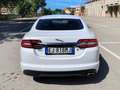 Jaguar XF XF 2.2d Bianco - thumbnail 5