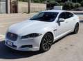 Jaguar XF XF 2.2d Bianco - thumbnail 2