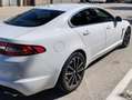 Jaguar XF XF 2.2d Bianco - thumbnail 8