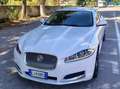 Jaguar XF XF 2.2d Bianco - thumbnail 11