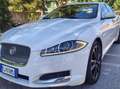 Jaguar XF XF 2.2d Bianco - thumbnail 10