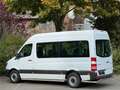 Mercedes-Benz Sprinter 313 Cdi BlueTec 9 Sitze Engine Broken Weiß - thumbnail 2