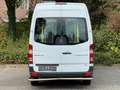 Mercedes-Benz Sprinter 313 Cdi BlueTec 9 Sitze Engine Broken Weiß - thumbnail 23