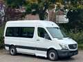 Mercedes-Benz Sprinter 313 Cdi BlueTec 9 Sitze Engine Broken Weiß - thumbnail 5
