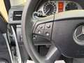 Mercedes-Benz B 170 AUTOMATIK KLIMA SHZ PDC LICHT RENTNER FAHR Zilver - thumbnail 27