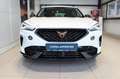 CUPRA Formentor 1.5 TSI AHK+NAVI+GJR+SHZ+5J GAR Klima Navi Weiß - thumbnail 3
