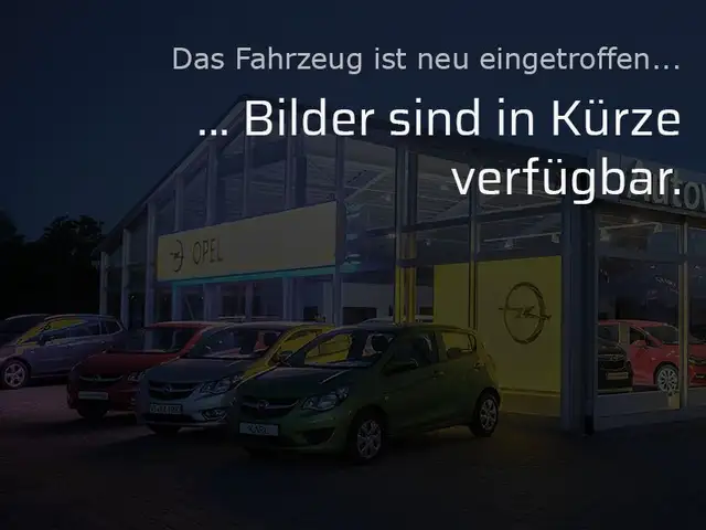 Opel Combo-e Combo E Cargo Erhöhte Nutzlast XL|NAVI|2XSCHIEBETÜ