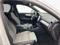 Volvo XC40 XC40 B3 B DKG Core Weiß - thumbnail 13