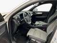 Volvo XC40 XC40 B3 B DKG Core Weiß - thumbnail 10