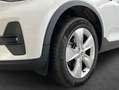 Volvo XC40 XC40 B3 B DKG Core Weiß - thumbnail 6