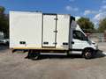 Iveco Daily IVECO - DAILY 50C17 - thumbnail 5