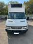 Iveco Daily IVECO - DAILY 50C17 - thumbnail 1