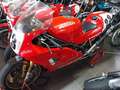 Ducati Coleção de 50 modelos Rojo - thumbnail 4