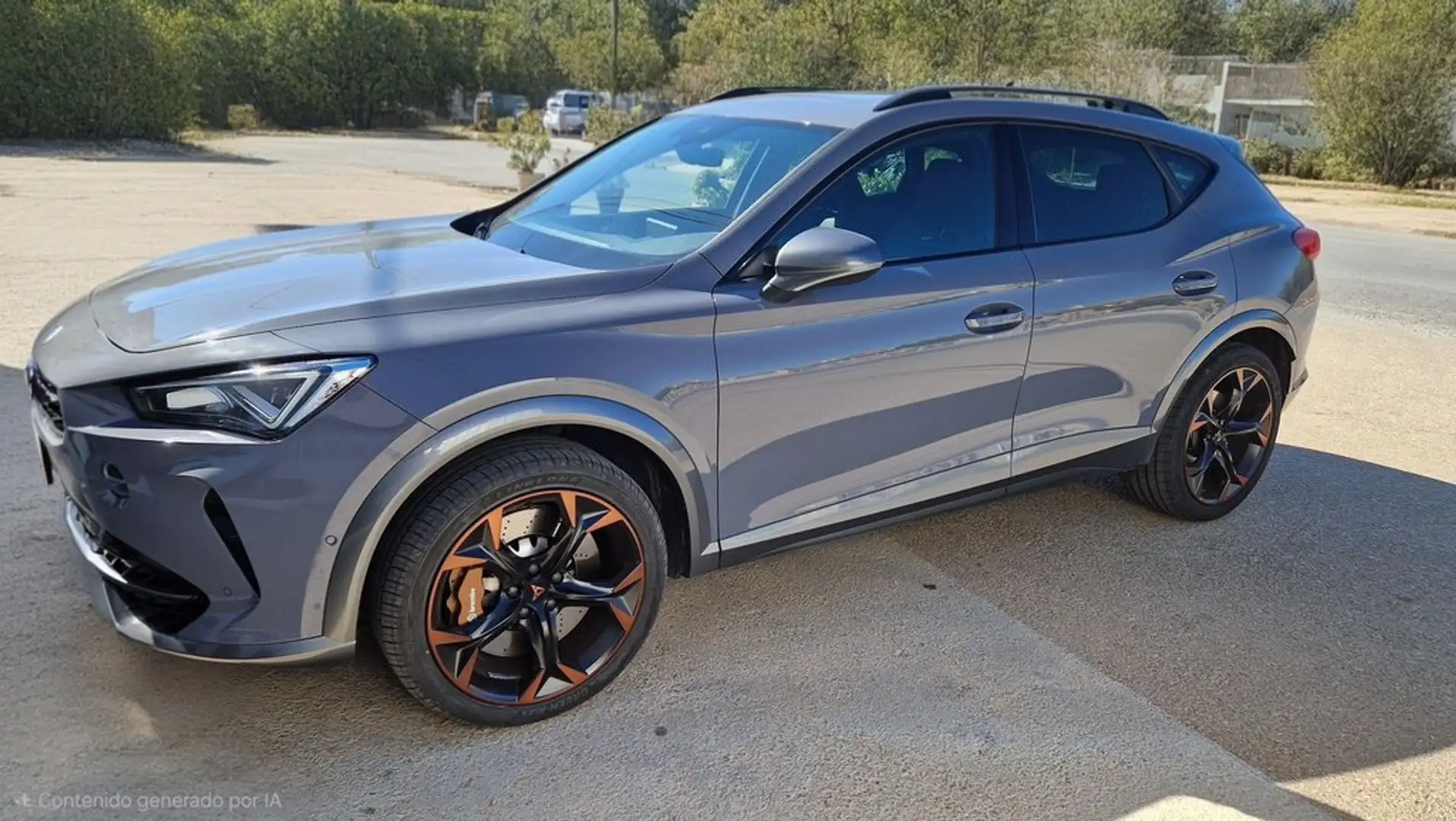 CUPRA Formentor 2.0 TSI 228kW (310 CV) VZ 4Drive DSG Grigio - 1