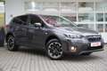 Subaru XV 1.6i Trend 4x4 Klimaaut. Sitzheizung Navi AHK Grau - thumbnail 8