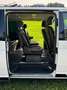 Volkswagen T6 Multivan Multivan Edition 2,0 TDI 4Motion DSG Edition Bianco - thumbnail 43