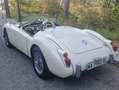MG MGA Blanco - thumbnail 2