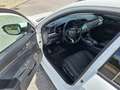 Honda Civic 1,0 VTEC Turbo Executive CVT Weiß - thumbnail 10