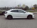 Honda Civic 1,0 VTEC Turbo Executive CVT Weiß - thumbnail 9