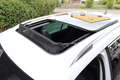 Skoda Superb 2.0 TDI Style 4x4 *AHK, Panorama, Matrix-LED* Weiß - thumbnail 10