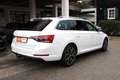 Skoda Superb 2.0 TDI Style 4x4 *AHK, Panorama, Matrix-LED* Weiß - thumbnail 3