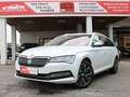 Skoda Superb 2.0 TDI Style 4x4 *AHK, Panorama, Matrix-LED* Weiß - thumbnail 1