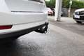 Skoda Superb 2.0 TDI Style 4x4 *AHK, Panorama, Matrix-LED* Weiß - thumbnail 11
