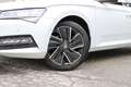 Skoda Superb 2.0 TDI Style 4x4 *AHK, Panorama, Matrix-LED* Weiß - thumbnail 8