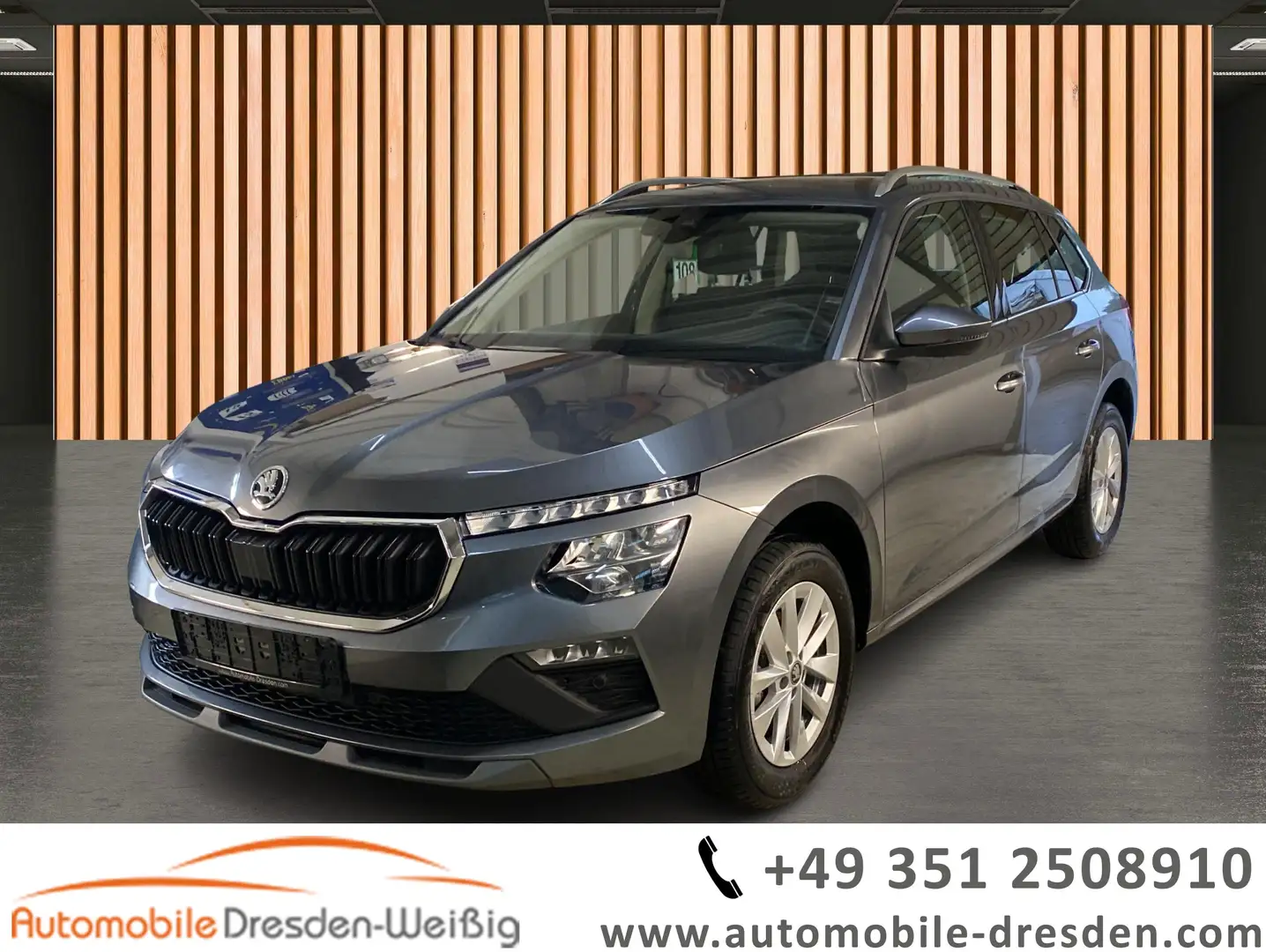 Skoda Kamiq 1.0 TSI DSG Selection*DAB+*beh.Lenkrad Grau - 1