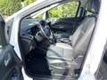 Ford C-Max Grand 1.0 EcoBoost Titanium 7 Sitzer Bianco - thumbnail 10