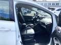 Ford C-Max Grand 1.0 EcoBoost Titanium 7 Sitzer Bianco - thumbnail 13