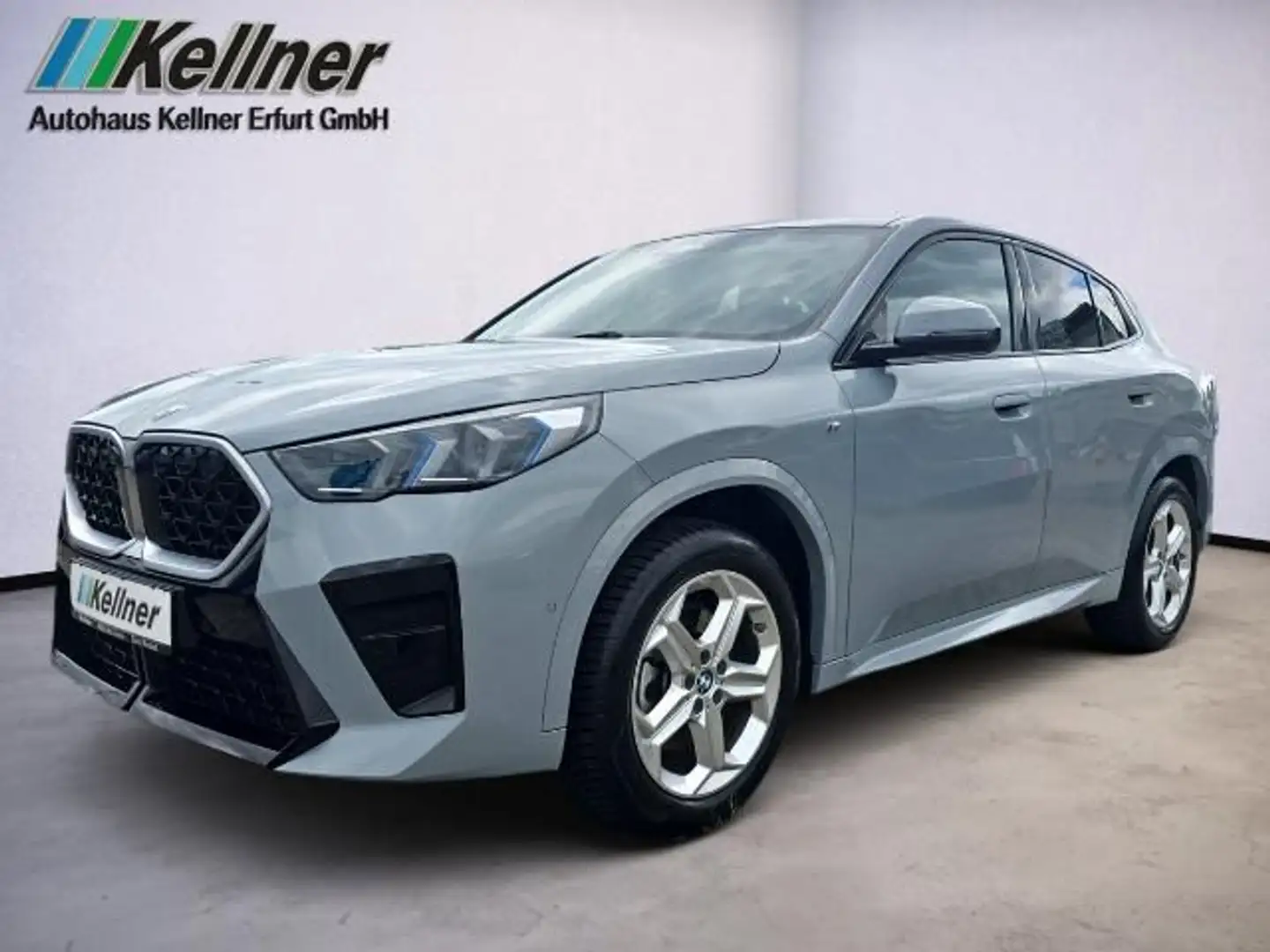 BMW X2 20i M-Sport+ACC+Aktivsitze+AHK+Alarm+HiFi+Al Grau - 1