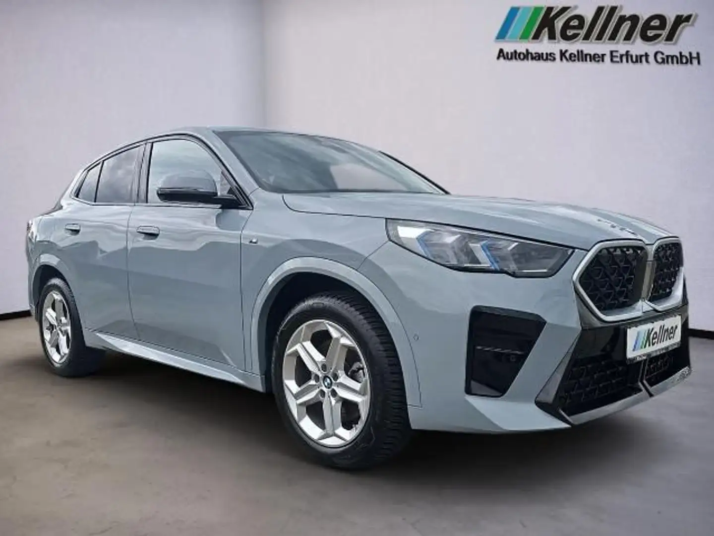 BMW X2 20i M-Sport+ACC+Aktivsitze+AHK+Alarm+HiFi+Al Grau - 2