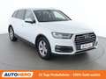 Audi Q7 3.0 V6 TDI quattro Weiß - thumbnail 8