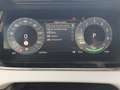 Land Rover Range Rover Evoque 1.5 P300e Dynamic SE Hybrid Grau - thumbnail 30