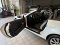 Mercedes-Benz SLK 200 Kompressor Cat - thumbnail 11