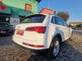 Audi Q5 Q5 35 2.0 tdi mhev 12V Business s-tronic Bianco - thumbnail 5