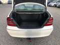 Mercedes-Benz C 200 CDI ELEGANCE Automatik*AHK*GSHD* Blanco - thumbnail 6
