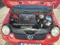 Volkswagen Lupo Lupo 1.0 Oxford*wenig km*8-fach*kein Rost* Rood - thumbnail 12