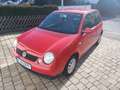 Volkswagen Lupo Lupo 1.0 Oxford*wenig km*8-fach*kein Rost* Rouge - thumbnail 2