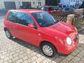 Volkswagen Lupo Lupo 1.0 Oxford*wenig km*8-fach*kein Rost* Rot - thumbnail 1