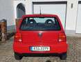 Volkswagen Lupo Lupo 1.0 Oxford*wenig km*8-fach*kein Rost* Piros - thumbnail 5