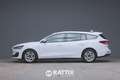 Ford Focus SW 1.5 Ecoblue 120CV Business Auto Bianco - thumbnail 2